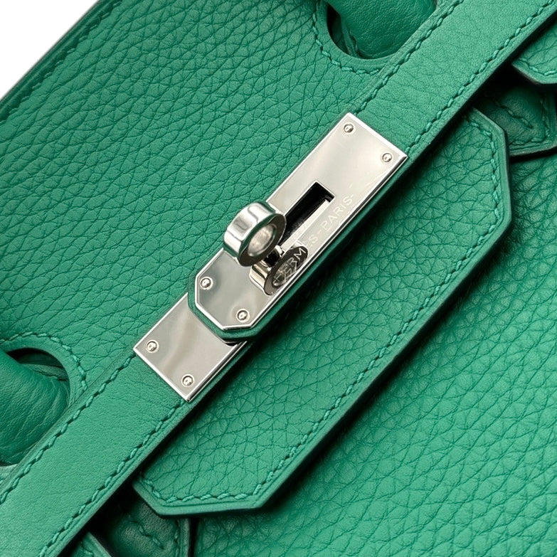 HERMES HERMES Birkin 35 Birkin 35 Tote bag Toryon Clemence Vele Vertigo Green Vele Fonse Green Silver hardware